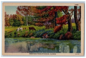 Greetings From Effingham Illinois IL, Animals Stream Water View Vintage Postcard