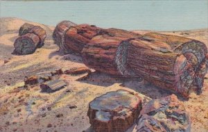 Arizona Petrified Forest Giant Logs In Rainbow Forest