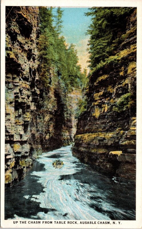 Up Chasm Table Rock Ausable Chasm New York Ny Ct American Art Postcard 