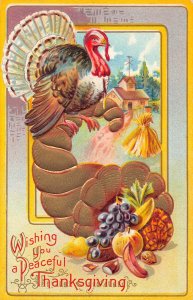 Thanksgiving Greeting Turkey Cornucopia Fruits House embossed postcard B989