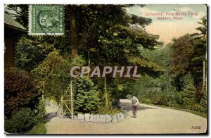 Postcard Old Driveway Pine Banks Park Malden Mass