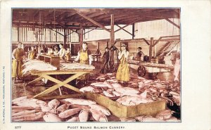 Vintage Postcard Puget Sound Salmon Cannery 577