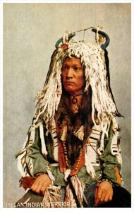 11877    American Indian      Piegan Indian Warrior