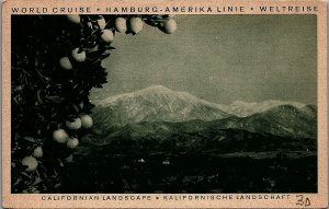 1929 HAMBURG-AMERICAN LINE CALIFORNIA LANDSCAPE POSTCARD 38-246