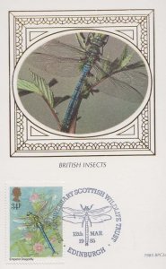 Emporer Dragonfly Scottish Wildlife Trust British Insects Benham First Day Cover