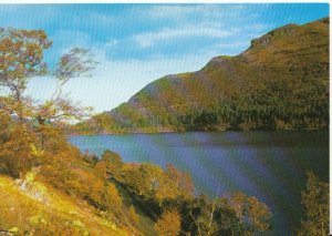 Scotland Postcard - Loch Laggan - Inverness-shire - Ref TZ8362