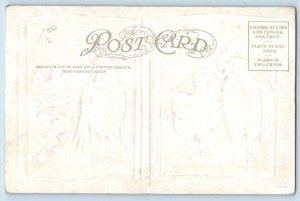 HH Tammen Signed Postcard Three Weeks Rooster Chicken Baby Chicks Embossed