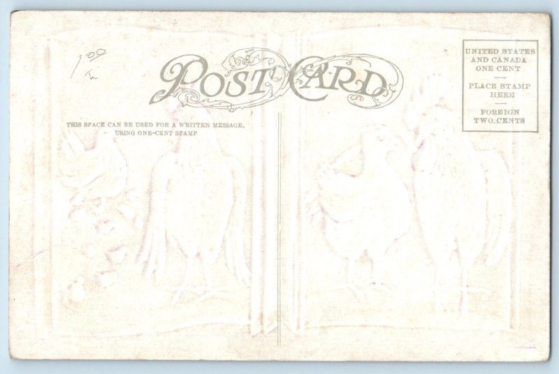 HH Tammen Signed Postcard Three Weeks Rooster Chicken Baby Chicks Embossed