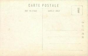 Japan, Large Tree, Park Area