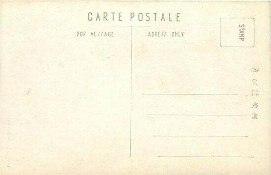 Japan, Large Tree, Park Area