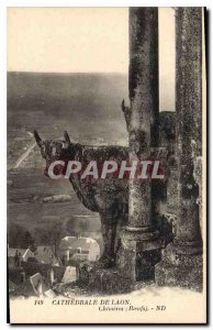 Postcard Old Cathedral of Laon Chimeres Oxen