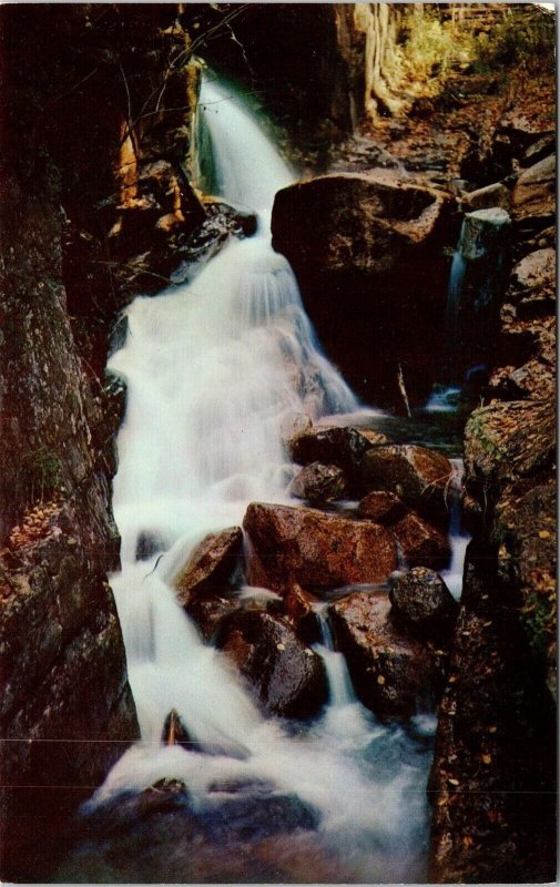 Avalanche Falls Flume Franconia Notch White Mountains NH New Hampshire Postcard 