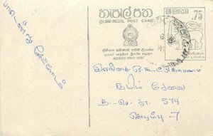 Entier Postal Stationery Postal Sri Lanka Ceylon Lion