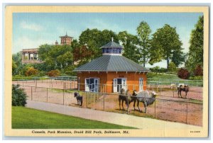 c1930's Camels Park Mansion Druid Hill Park Baltimore Maryland MD Postcard