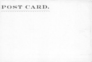 F46/ Grand Canyon of Colorado Postcard c1910 Roaring Cataracts No.3