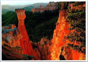 Postcard - The Cliff Walls Of Agua Canyon, Bryce Canyon National Park - Utah