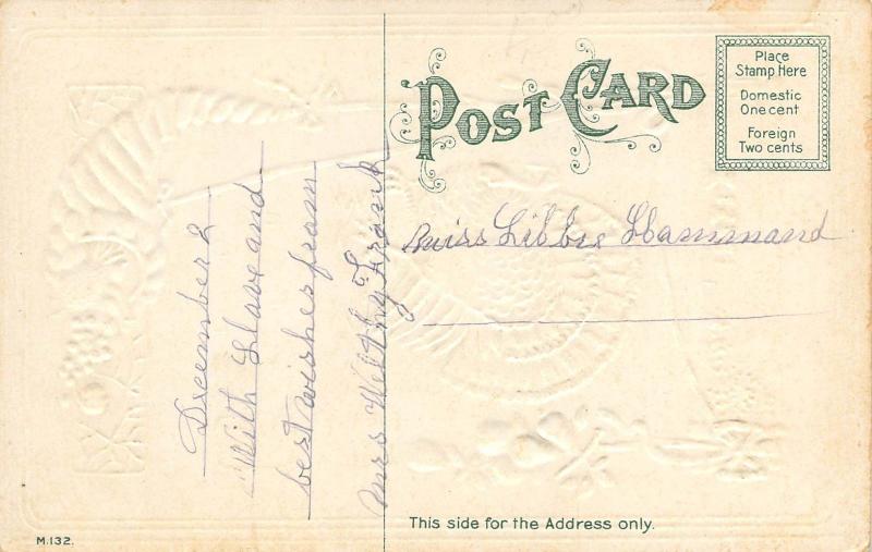 Thanksgiving Greetings c1912 Embossed Postcard Turkey by J.Herman