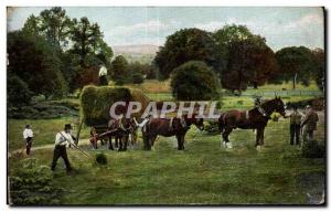 Old Postcard Fantasy Scene agriculture horse Horse peasants Champs