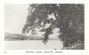 Vintage Postcard 1920's Wilson Lake Wilton ME Maine