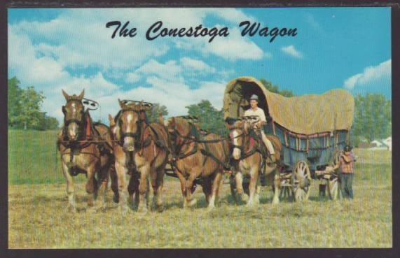 Conestoga Wagon Horses Postcard 4474