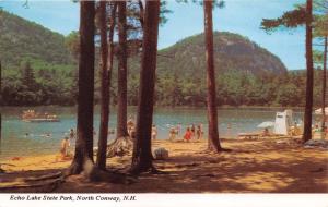 NORTH CONWAY NEW HAMPSHIRE ECHO LAKE STATE PARK~CATHEDRAL LEDGE POSTCARD 1960s