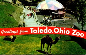 Greetings From The Zoo Toledo Ohio Split View