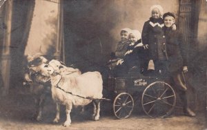 RPPC CHILDREN GOAT WAGON WEBER & DAMME ST. LOUIS MISSOURI REAL PHOTO POSTCARD