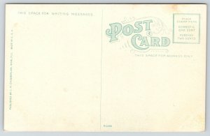 Miami Florida~Davie Experimental Farm~Workers Picking Beans~Baskets~c1912 PC