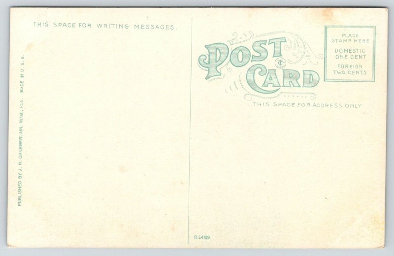 Miami Florida~Davie Experimental Farm~Workers Picking Beans~Baskets~c1912 PC