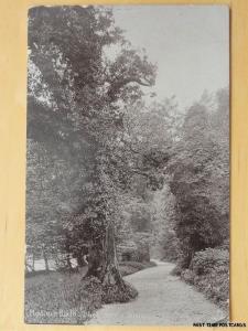 Derbyshire MATLOCK BATH The Lover's Walk c1907 by Raphael Tucks & Sons 1600