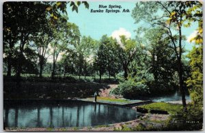 Blue Springs Eureka Springs Arkansas AR Trees Sightseeing Postcard