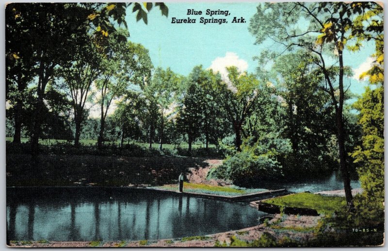 Blue Springs Eureka Springs Arkansas AR Trees Sightseeing Postcard