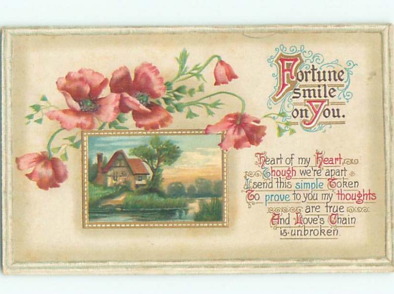 Divided-Back BEAUTIFUL FLOWERS SCENE Great Postcard AA2728