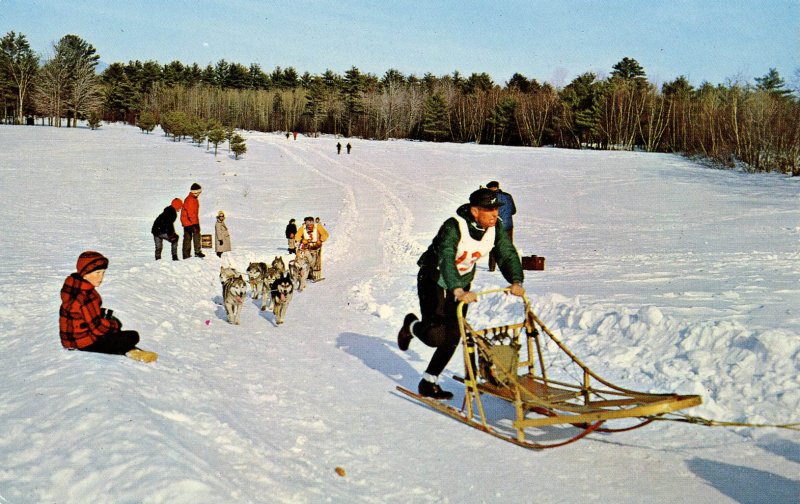 NH - Championship Dog Sled Racing