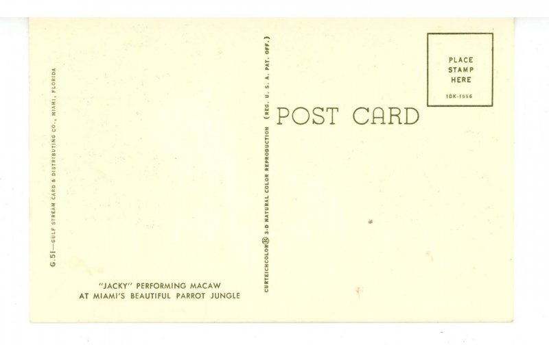 FL - Miami. Parrot Jungle, Performing Macaw Jacky