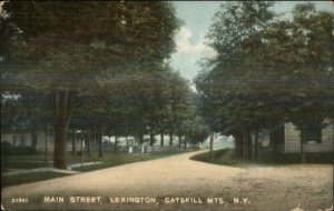 Lexington Catskills NY Main St. c1910 Postcard