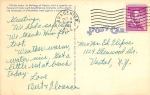 Florida Silhouette Sunset - Trees, Florida FL Postcard