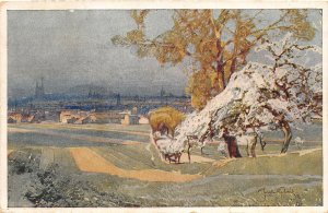 BT3079 brunn brno j setelik painting postcard general view czech republic