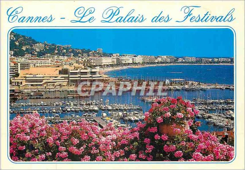 Modern Postcard Cannes (Alpes Maritimes) French Riviera French Riviera Port V...