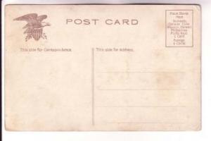 State Capital, St Paul, Minnesota, Shield