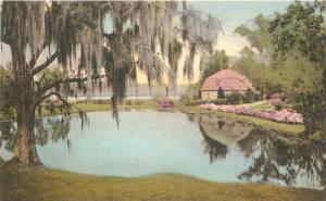 Albertype Charleston South Carolina 1920s Old Rice Mill Butterfly Gardens 10510