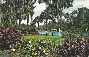 Silver Springs Florida Glass Bottom Boats Uncancelled Eisenhower Stamp