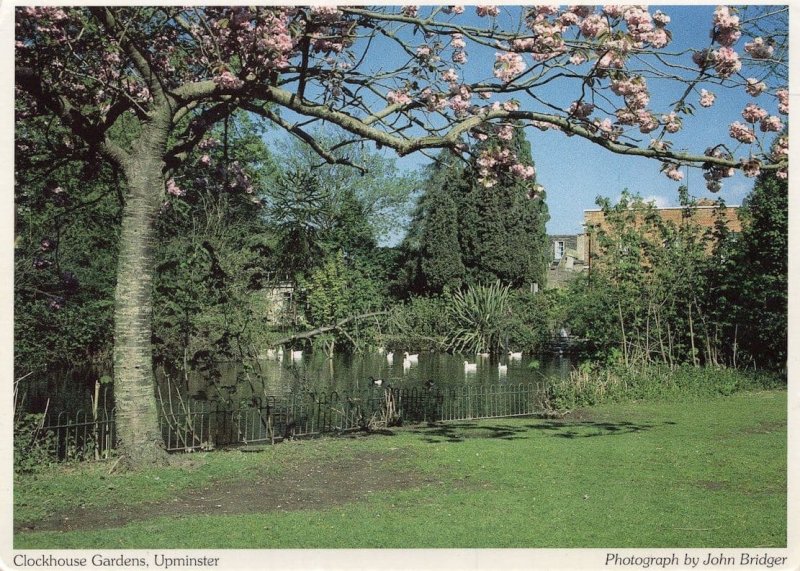 Clockhouse Gardens Upminster Hornchurch Essex Postcard