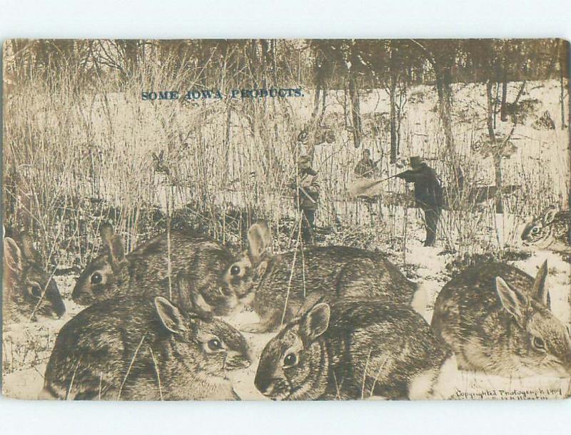 Pre-1918 rppc EXAGGERATION - RABBIT HUNTING State Of Iowa IA i9198