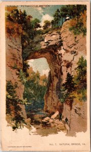 Natural Bridge National Landmark Virginia Scenic Landscape UDB Postcard 