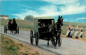 Pennsylvania Amish Country Amish Family Carriage & Courting Buggy