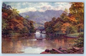 Killarney Ireland Postcard Old Weir Bridge River Scene c1910 Oilette Tuck Art