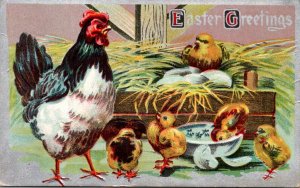 Easter Greetings With Chicken Family 1911