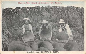 Beaverton Michigan Peach Orchard Exaggeration Vintage Postcard AA104253