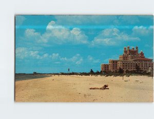 Postcard Honeymoon sunbathers at St. Petersburg Florida USA